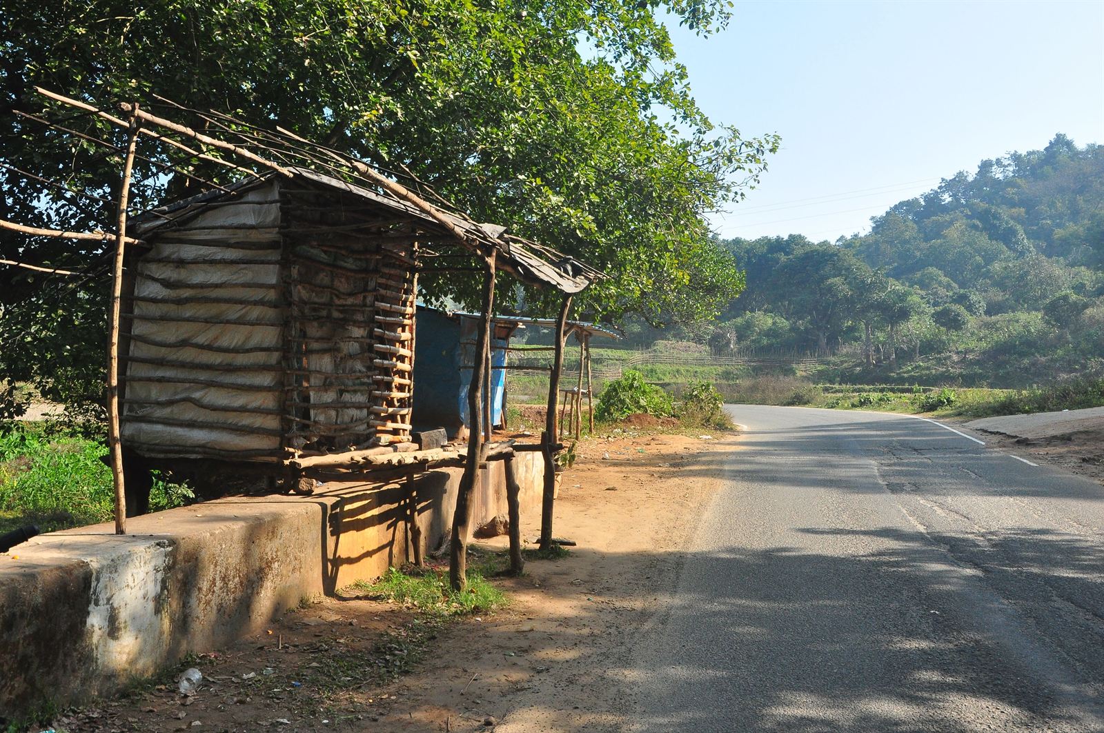 Misty coffee hills and valleys of Koraput, Odisha